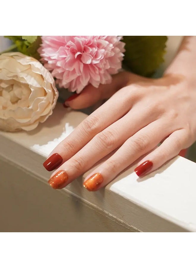 مجموعة كاملة من ملصقات جل الأظافر الممتازة مع معالجة بالأشعة فوق البنفسجية/LED | مجموعة عالية الجودة مع مبرد أظافر، ووسادات تنظيف، وأدوات خشبية، بجودة صالونات التجميل، سهلة الإزالة - Image 2